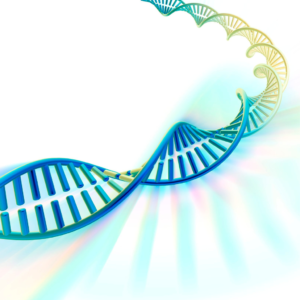 A DNA sequence to illustrate about genetic Nutritional Analysis